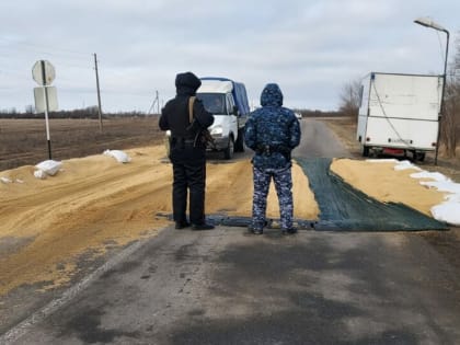 В Сальском районе обнаружен грипп птиц