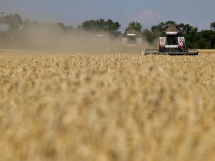 Ростовская область стала лидером по урожаю хлеба в России