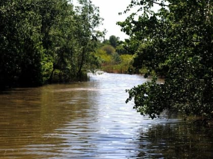 В Ростове следователи установили личность убитого мальчика и задержали его отца