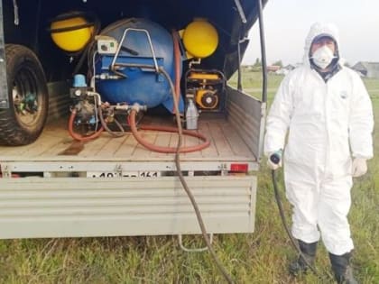 На Дону после укуса клеща еще 20 человек заразились лихорадкой Ку