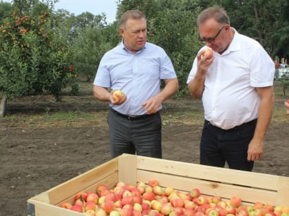Еще 50 дончан улучшат жилье по областной программе в первом квартале