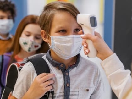 Ростовчане потребовали у Голубева перевести школьников на дистанционку из-за омикрона