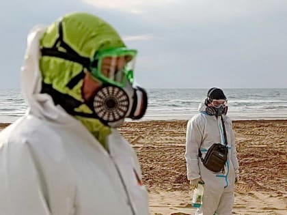 Профессор РАН — о рисках отравления нефтепродуктами и как себя обезопасить