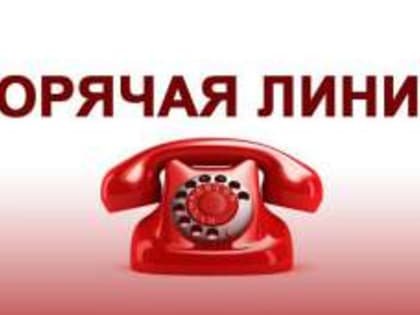 В ДТСР в период Новогодних праздников (с 31 декабря по 9 января) будет работать «горячая линия»