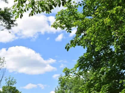 Летняя жара возвращается в Шахты