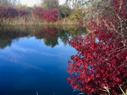 Начало недели в Шахтах будет ветреным и облачным