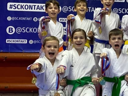 В Донецке Ростовской области состоялся открытый турнир по каратэ WKF