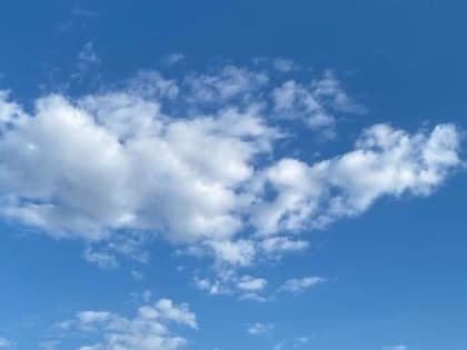 Донские синоптики рассказали о погоде в августе