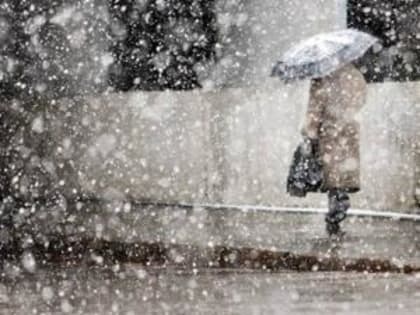 Сильный ветер и мокрый снег прогнозируют на выходных в Ростовской области