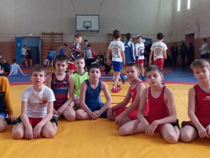 Межрайонный турнир по вольной борьбе