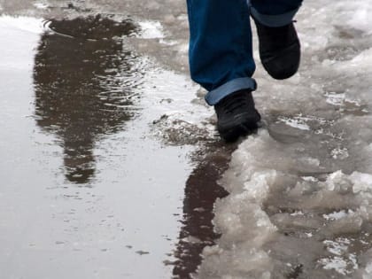 До 8 градусов тепла обещают морозовчанам в пятницу, 3 декабря