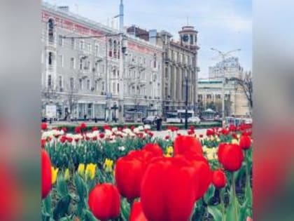 Программа праздничных мероприятий на День России в Ростове-на-Дону