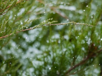 В Ростовской области в четверг ожидается мороз до -3 градусов