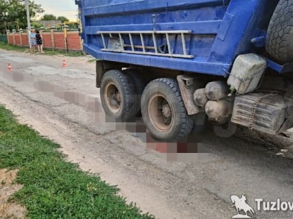 В станице Грушевской под Новочеркасском под колесами грузовика погиб 5-летний мальчик