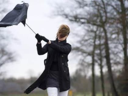 Ростовчан предупредили об усилении ветра