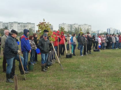 Фонд поддержал День весенних древонасаждений