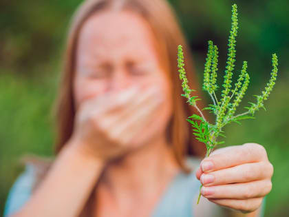 Пол-Ростова сопит, чихает и кашляет