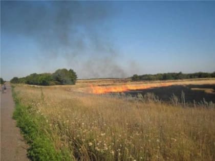 Под Новочеркасском полностью потушили крупный ландшафтный пожар