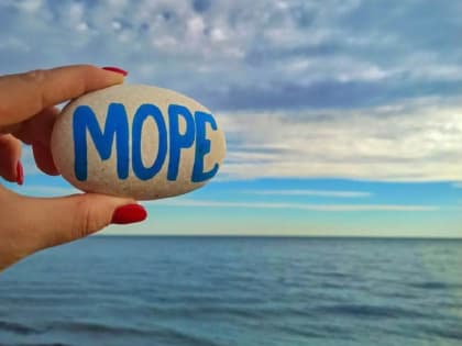 Несмотря на: в Сочи фрукты и ягоды стоят в разы дороже, чем в Ростове