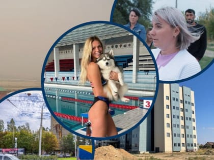 Неделя в Волгодонске: Пыльные бури, нападения собак и судебные дела