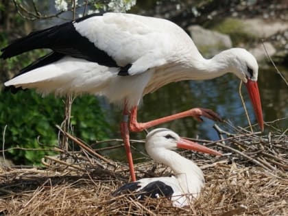 Народные приметы на 20 августа 2022 года — что нельзя делать в этот день