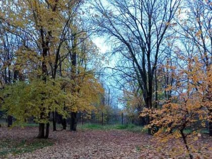 В первый зимний день в Шахтах будет морозно и ветрено