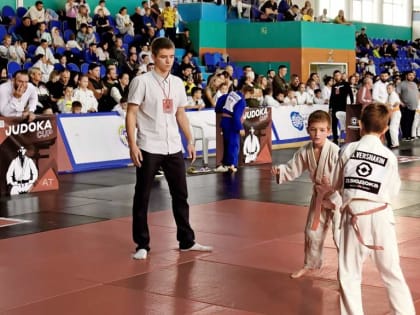 Центр единоборств Волгодонска. Дзюдо