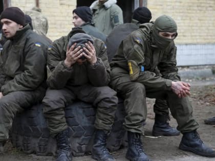 Когда читаешь соцсети по поводу спецоперации, кажется, весь мир сошёл с ума