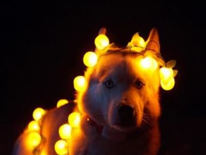 В Ростове будут отключать свет с 13 декабря