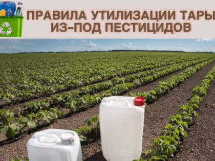 Правила утилизации пестицидной тары в Ростовской области