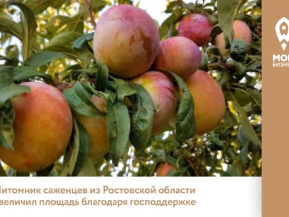 Центр «Мой бизнес» предоставил заем на закладку черешневого сада в Сальском районе