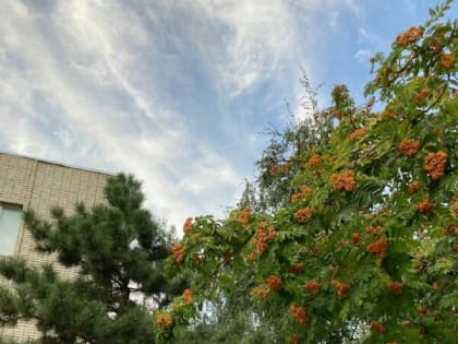 Шахтинцам обещают ветреную и облачную погоду