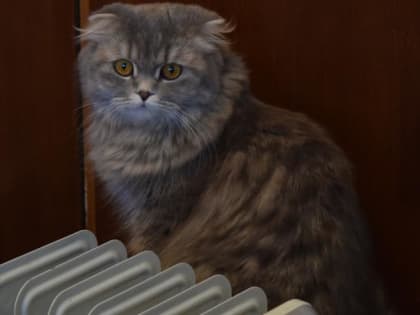 В Шахтах почти завершена подготовка к отопительному сезону