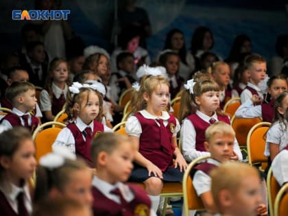 Китайский метапневмовирус не повлияет на формат учебы в школах Волгодонска