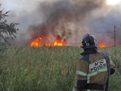 В Ростове огонь уничтожил 60 гектаров территории на улице Чемордачка