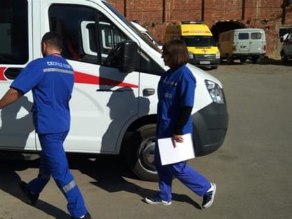 В Новочеркасске мужчина погиб, пытаясь спасти кошку