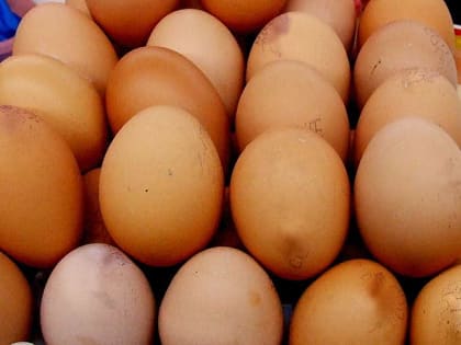Употребление яиц снижает риск сердечно-сосудистых заболеваний