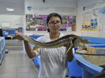 В Турцию из Ростовской области отправили 7500 т подсолнечного шрота