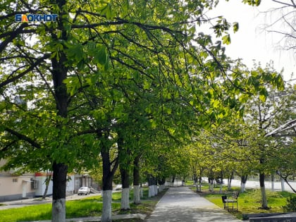 Солнышко баловало недолго, в Шахтах вновь будет пасмурно
