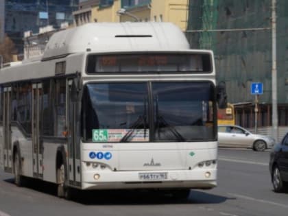 Перевод автобусов Ростова на брутто-контракты обойдется в 2,5 млрд рублей