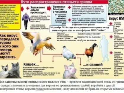 ВНИМАНИЕ!!! ОПАСНОСТЬ ВЫСОКОПАТОГЕННОГО ГРИППА ПТИЦ!