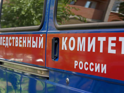 В Ростове дед зарезал 6-летнего внука