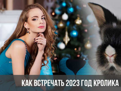 В чём встречать Новый, 2023-й, год?