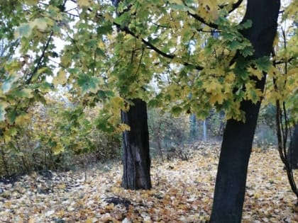 В Шахтах будет прохладно и облачно