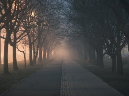 Туманную и ветреную погоду пообещали жителям в Ростовской области 23 апреля