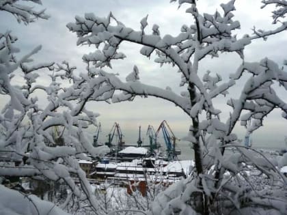 Погода в Таганроге 21 января: небольшой мороз, без осадков