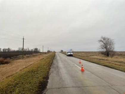 Труп мужчины с огнестрельным ранением обнаружен в Тацинском районе