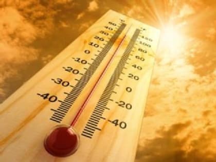 Главное управление МЧС предупреждает о сильной жаре в Ростовской области в ближайшие трое суток 