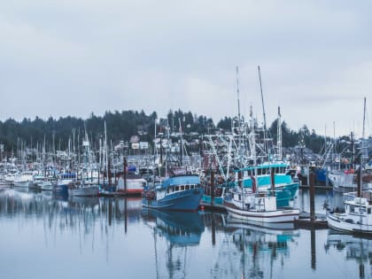 В Таганроге открыли док на 65 мест для малых судов за 43 миллиона рублей