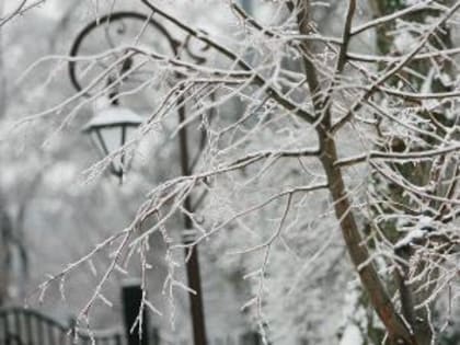 В Таганроге эта неделя обещает быть облачной и холодной